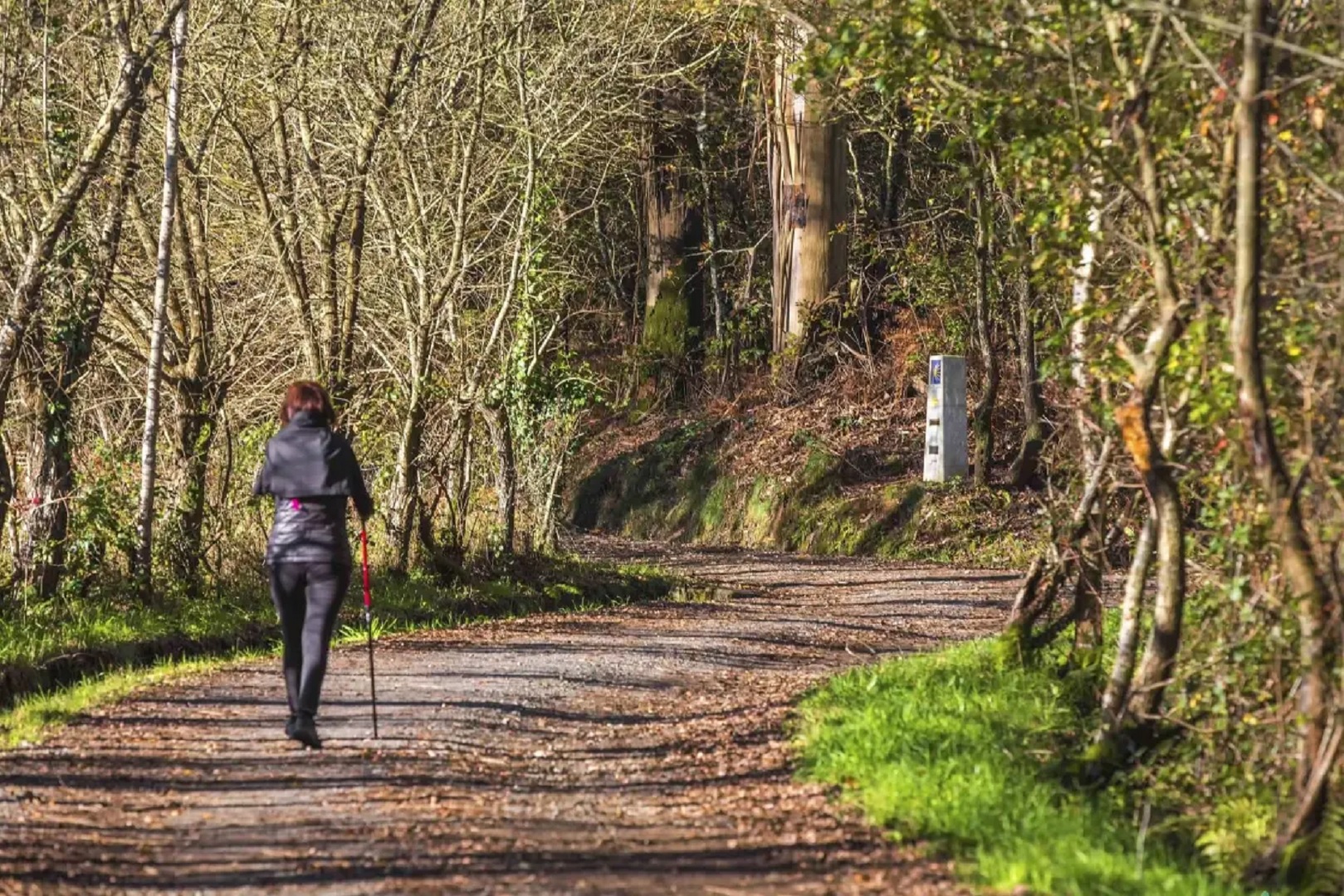 Así debes prepararte si vas a hacer el Camino de Santiago por primera vez