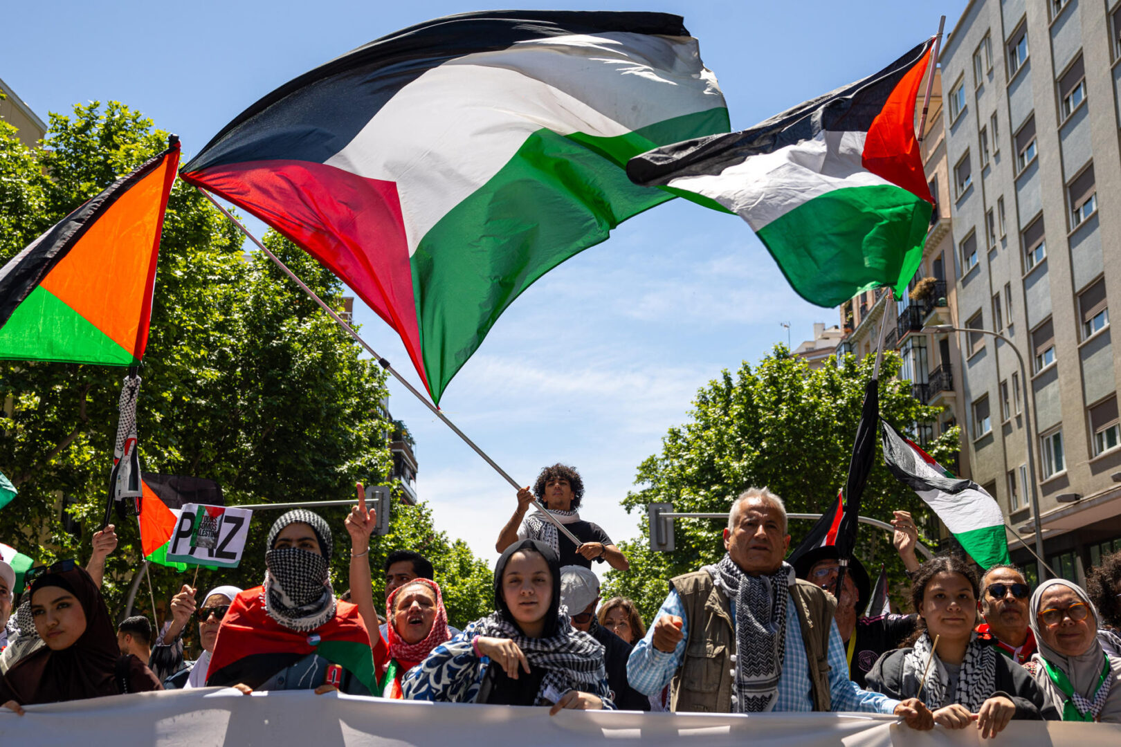 Manifestación propalestina