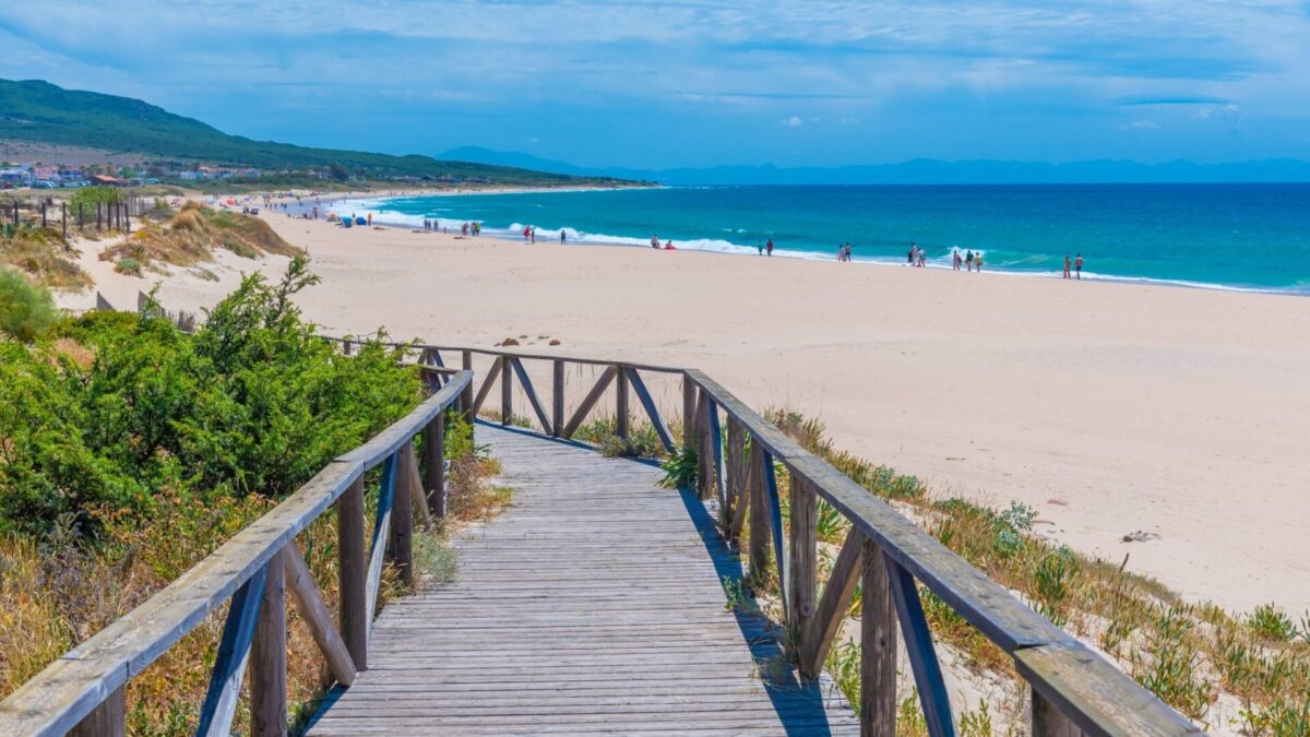 Playa de Bolonia - Sociedad