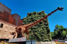 Réplica del dinosaurio Patagotitan mayorum en el patio de CaixaForum Madrid