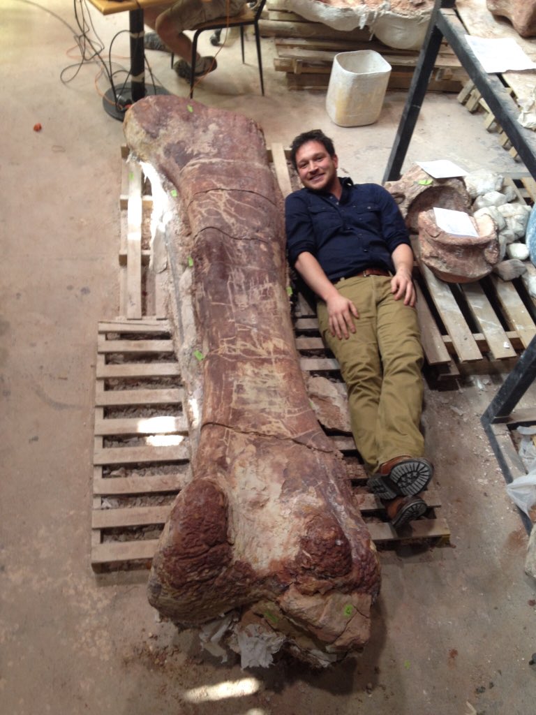 El académico Ben Garrod, junto al fémur de Patagotitán expuesto en CaixaForum Madrid