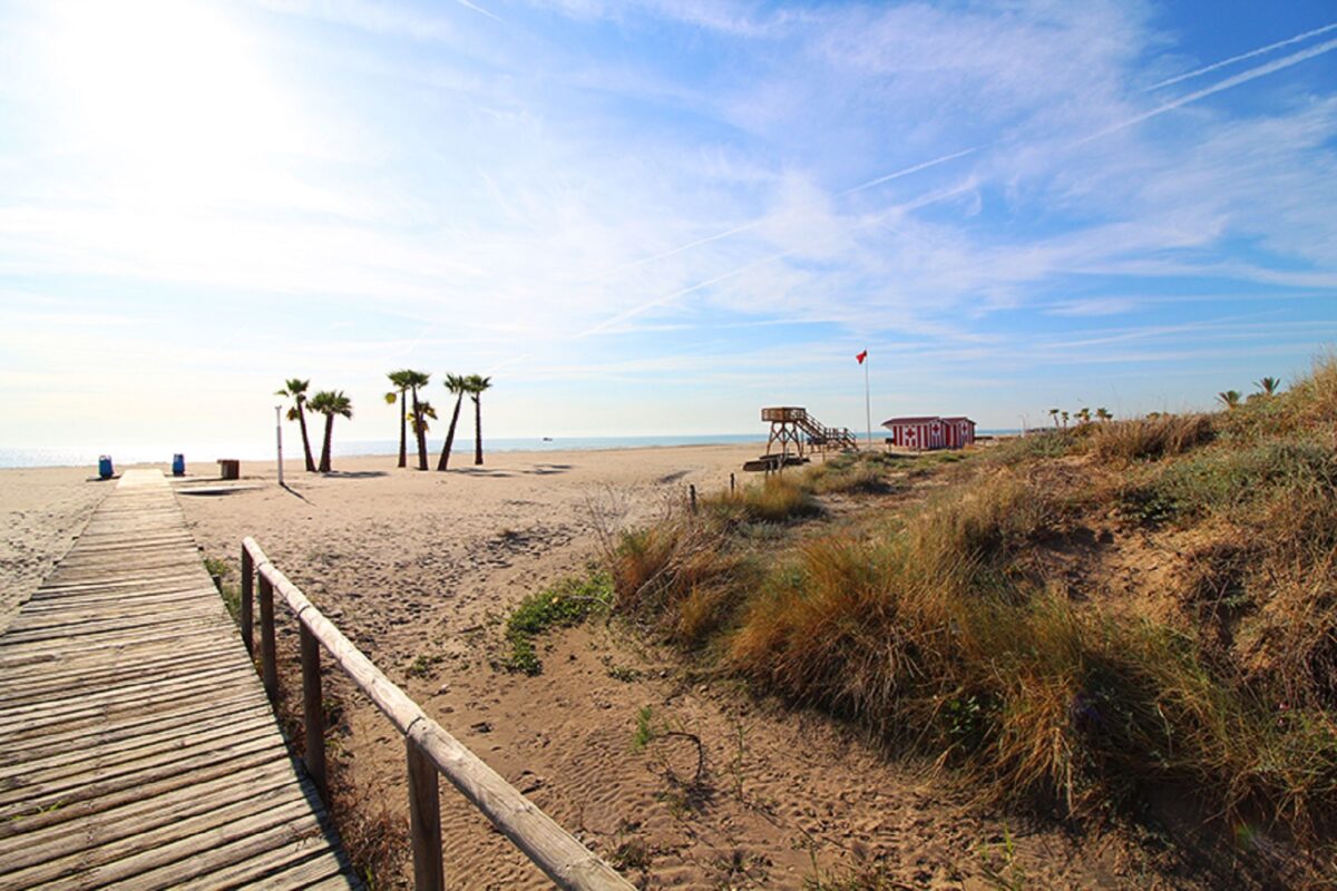 Playa de Canet d'en Berenguer - Sociedad