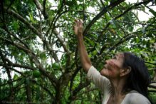 Hay mujeres indígenas que arriesgan todo, incluso sus vidas, para proteger sus comunidades