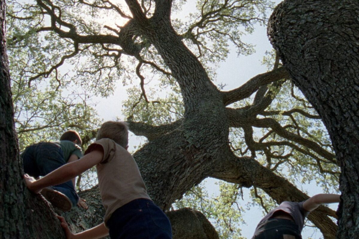 Película 'El árbol de la vida', dirigida por Terrence Malick