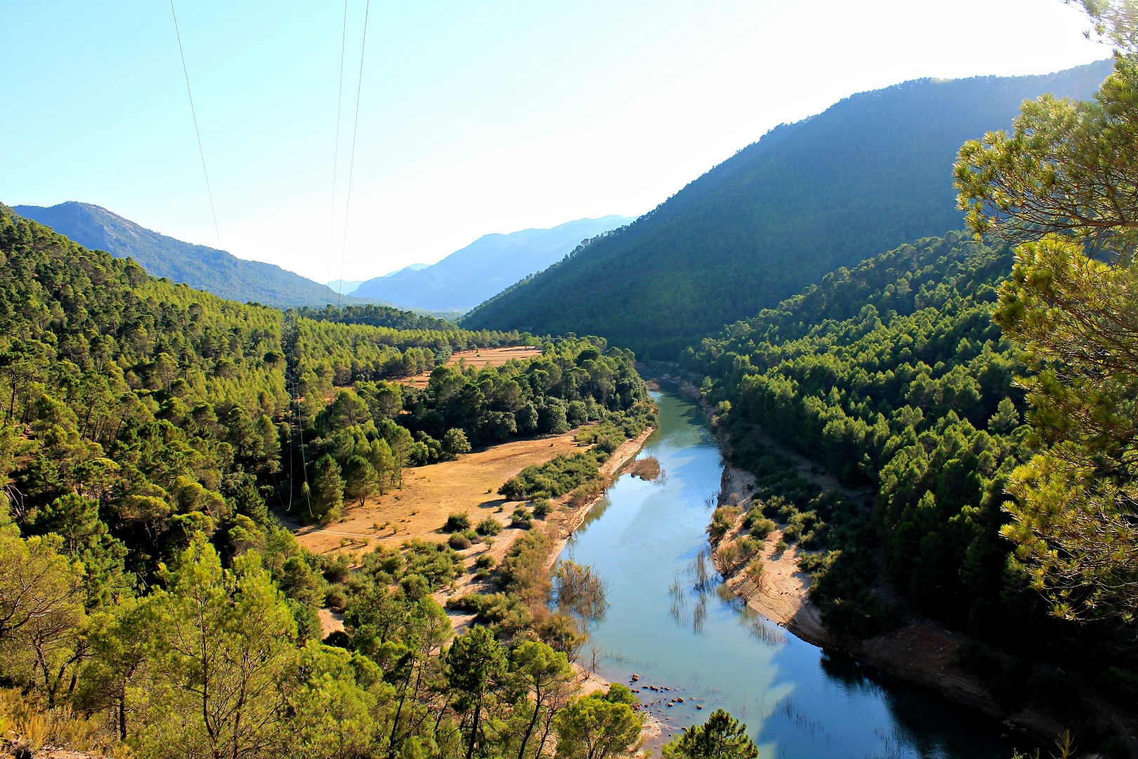 Los mejores lugares de Andalucía para ver la berrea del ciervo y la ronca del gamo