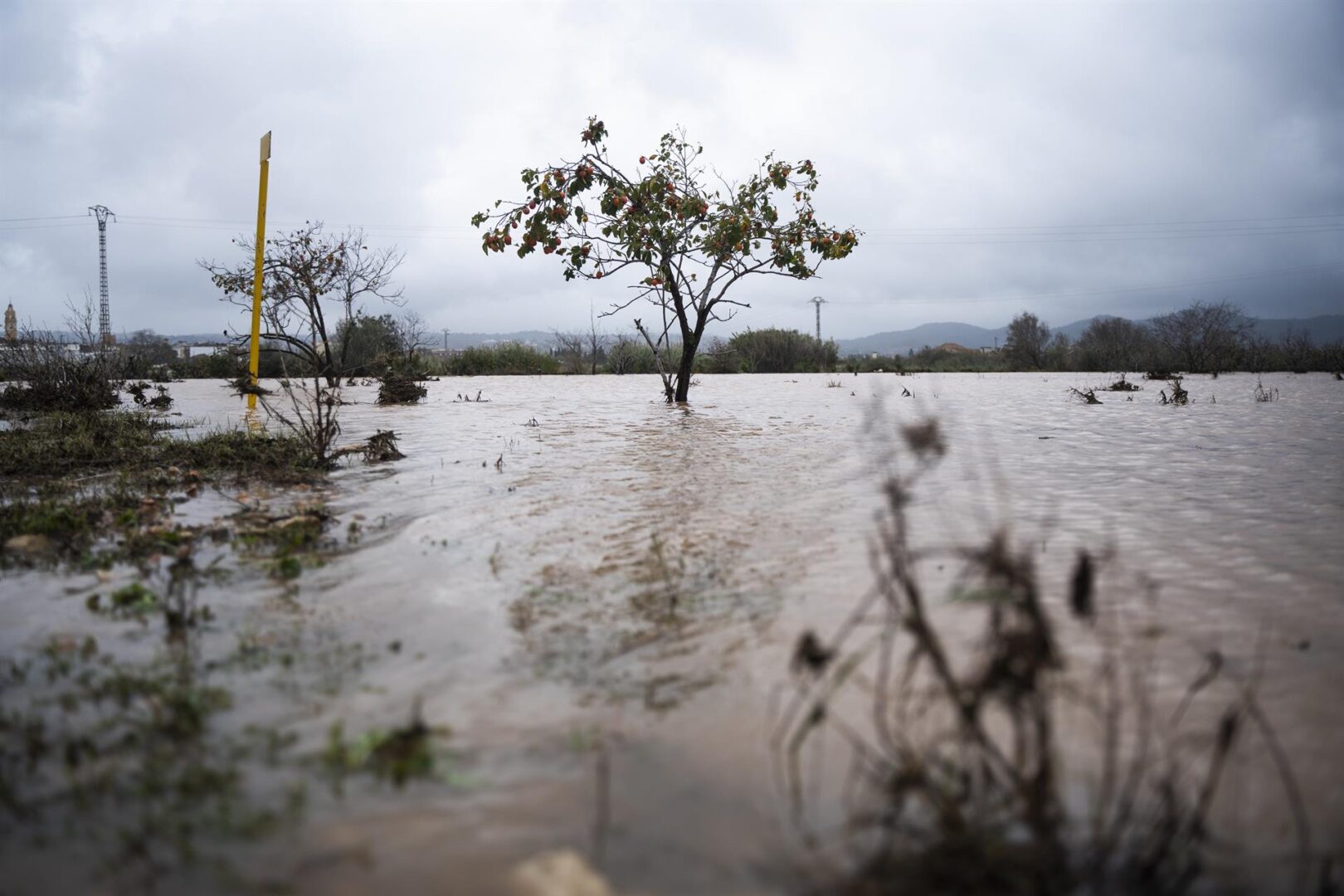 Alerta en Baleares: aviso naranja de AEMET por la DANA por lluvias torrenciales, hasta 50 mm en una hora