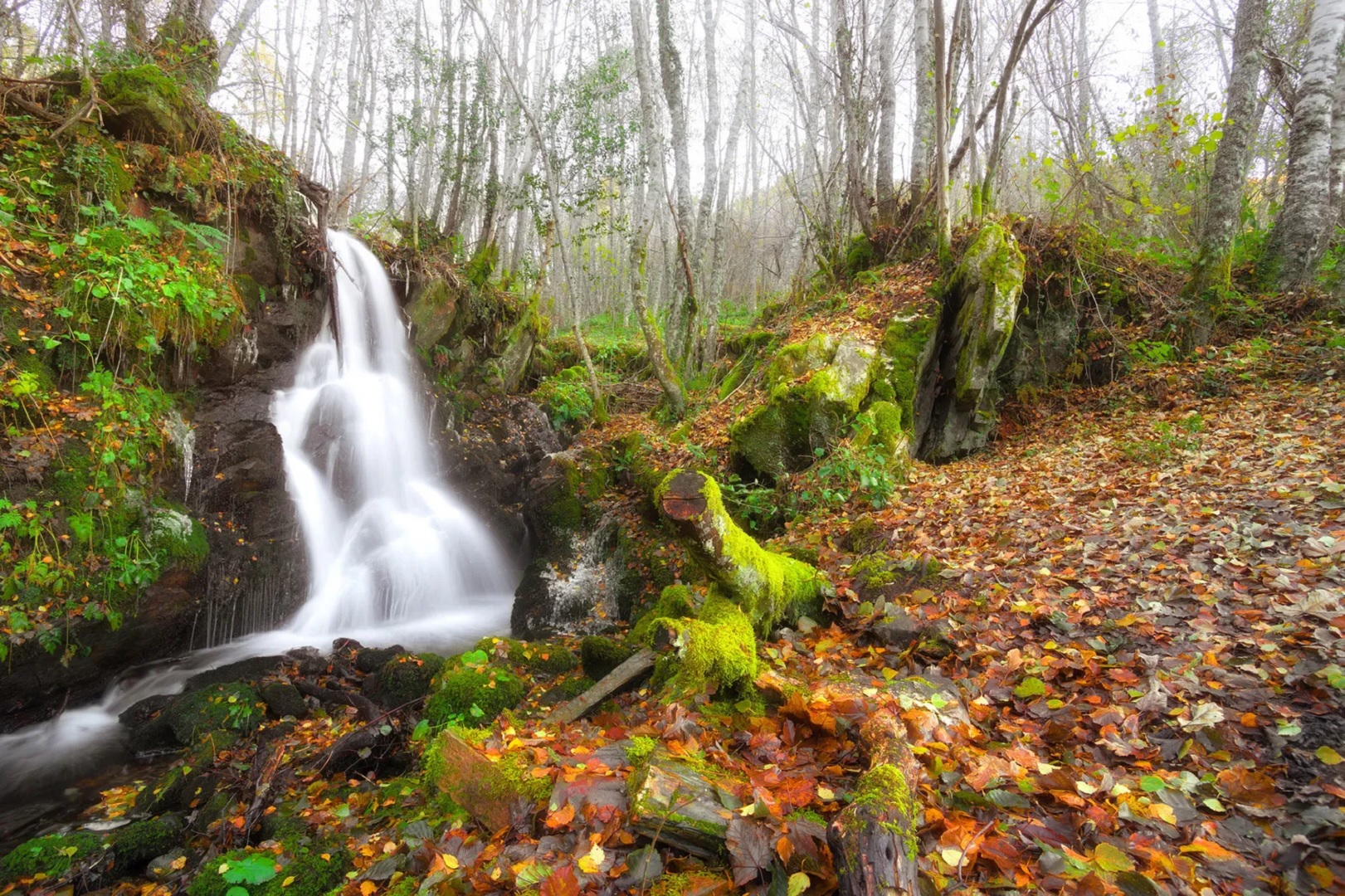 La ruta otoñal ideal en León: saltos de agua, hojas naranjas y olor a tierra mojada