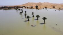 Sáhara inundado - Internacional