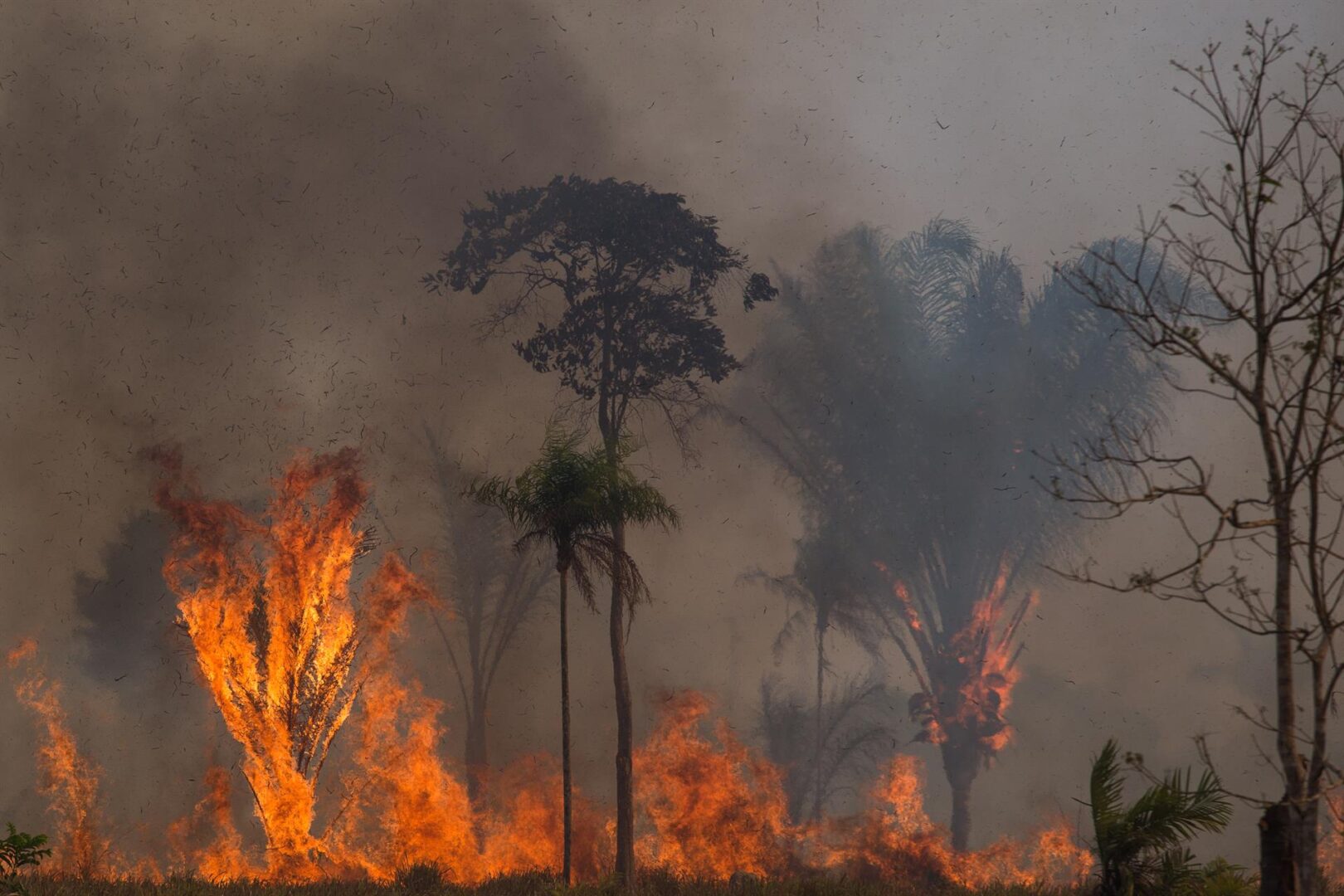 Incendio en el Amazonas