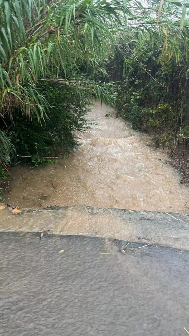 Lo peor de la DANA apunta a Valencia y Castellón: hasta 50 l/m2 en una hora