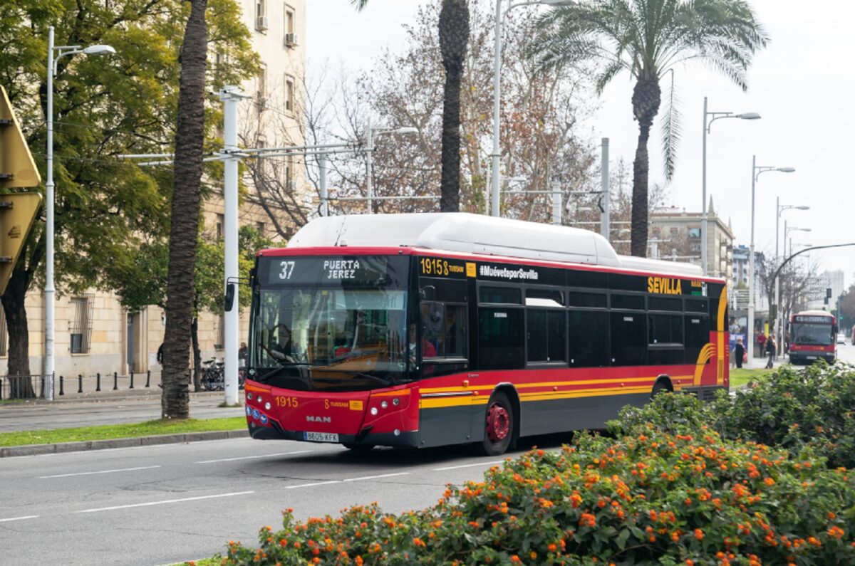 Bus en Sevilla - Sociedad