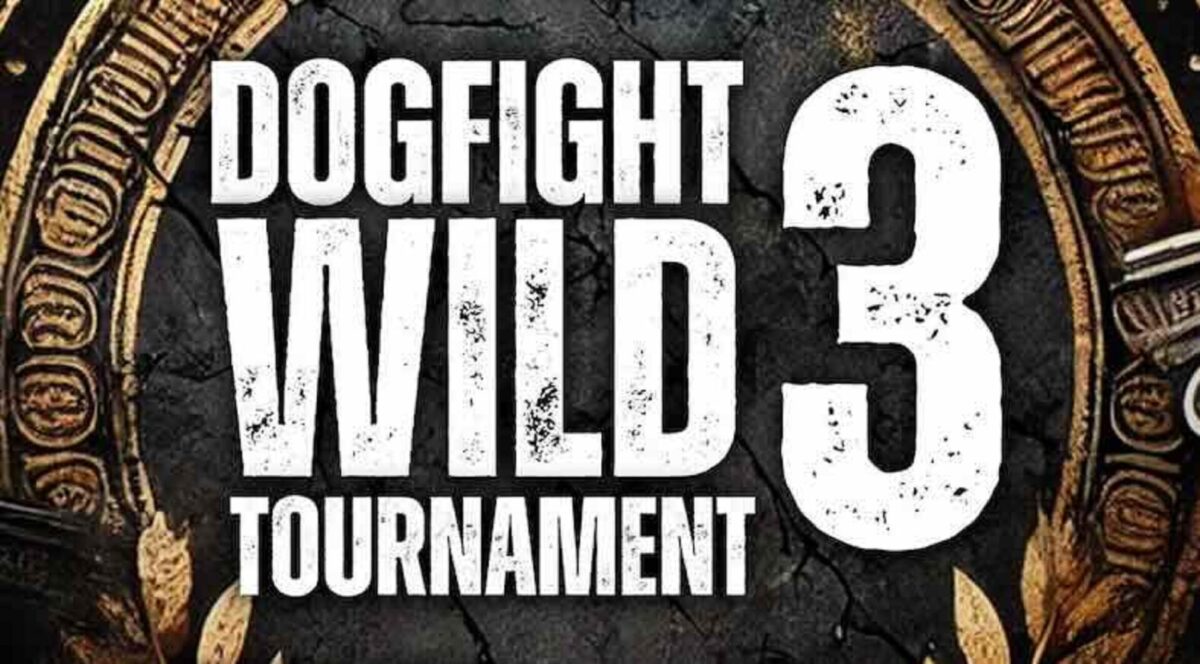 Dogfight Wild Tournament 3 - Sociedad