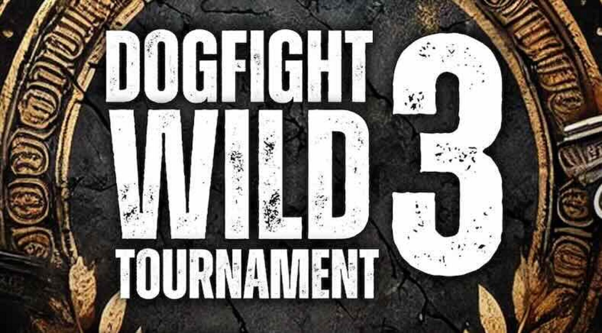 ¿A qué hora empieza Dogfight Wild Tournament 3?