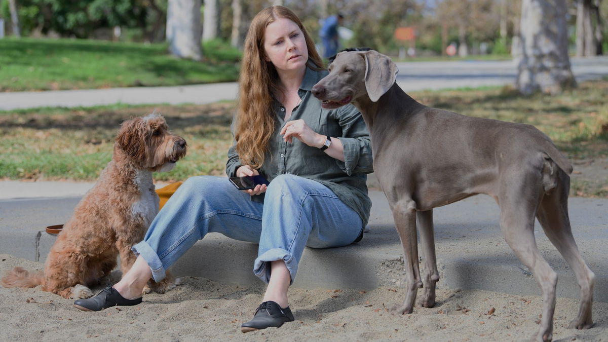 Amy Adams protagoniza 'Canina', en Disney+