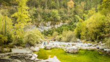 Valle de Añisclo - Sociedad