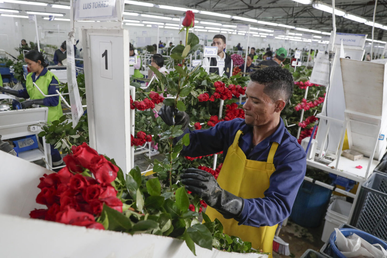 ¿Por qué San Valentín se celebra el 14 de febrero?