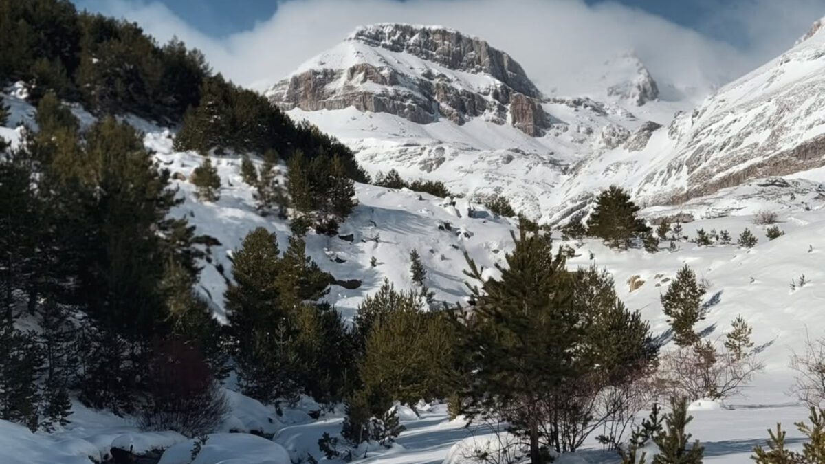 Valle de Aísa - Sociedad